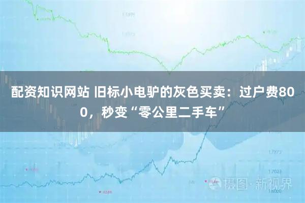 配资知识网站 旧标小电驴的灰色买卖：过户费800，秒变“零公里二手车”