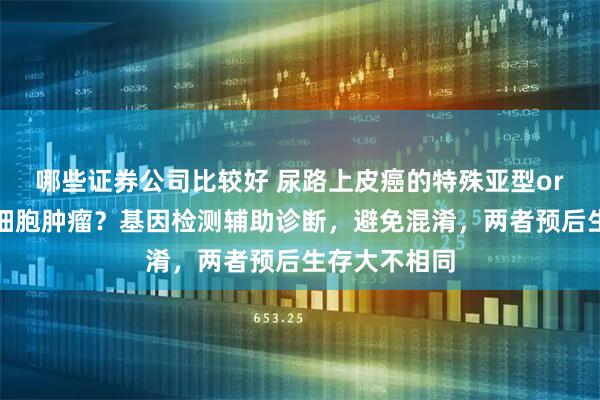 哪些证券公司比较好 尿路上皮癌的特殊亚型or性腺外生殖细胞肿瘤？基因检测辅助诊断，避免混淆，两者预后生存大不相同